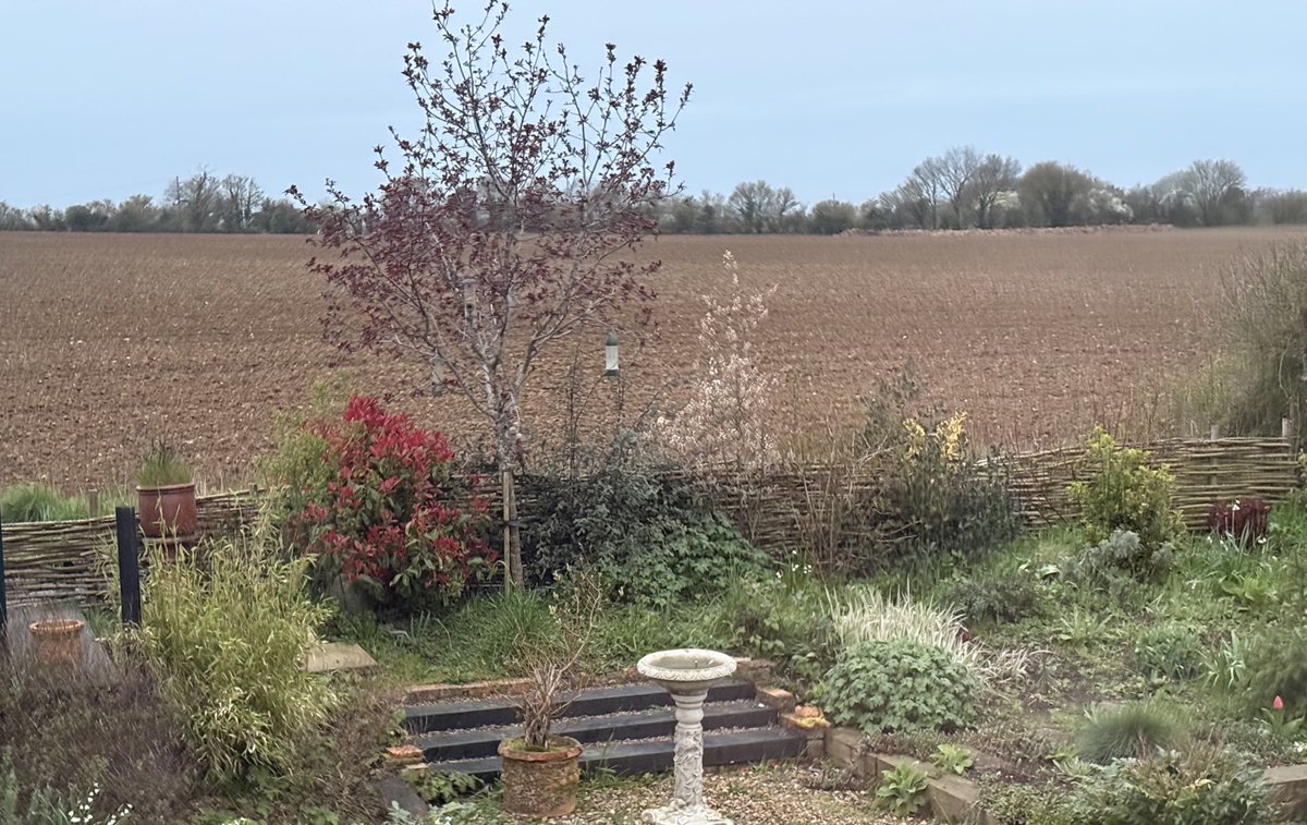 DDCrochetDesign's tweet image. Had a little break from London ☺️

My aunt lives just outside of Sudbury, this was my view early this morning  ☺️

#refreshed #English #countryside #MHHSBD #craftbizparty #UKMakers