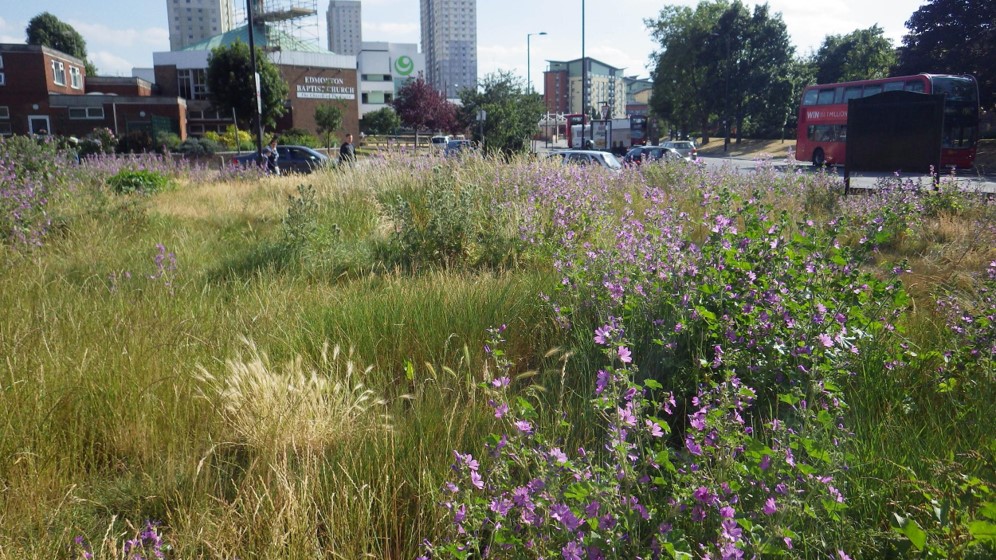 GlendaleUK tweet media