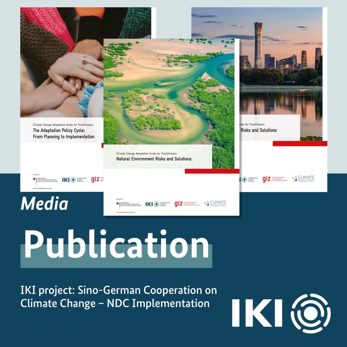 IKI Germany tweet media