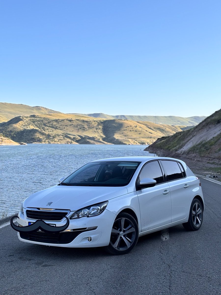 1.6 BlueHDi tweet media