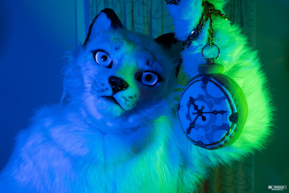 2Pfoten's tweet photo. Tick Tack, Tick Tack!

Morgen ist der letzte Tag, an dem ihr euch regulär für die SpringFurCon registrieren könnt! Schnell, der weißen Katze hinterher!

Nicht schnell genug? Keine Sorge! Während der Veranstaltung könnt ihr euch vor Ort registrieren oder ein Tagesticket sichern. https://t.co/Zf4yiVcGli
