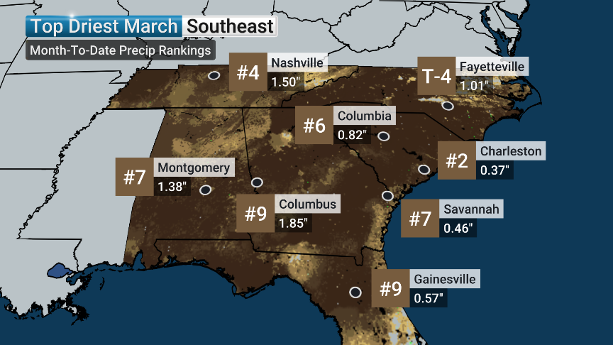 Jordan Steele tweet media