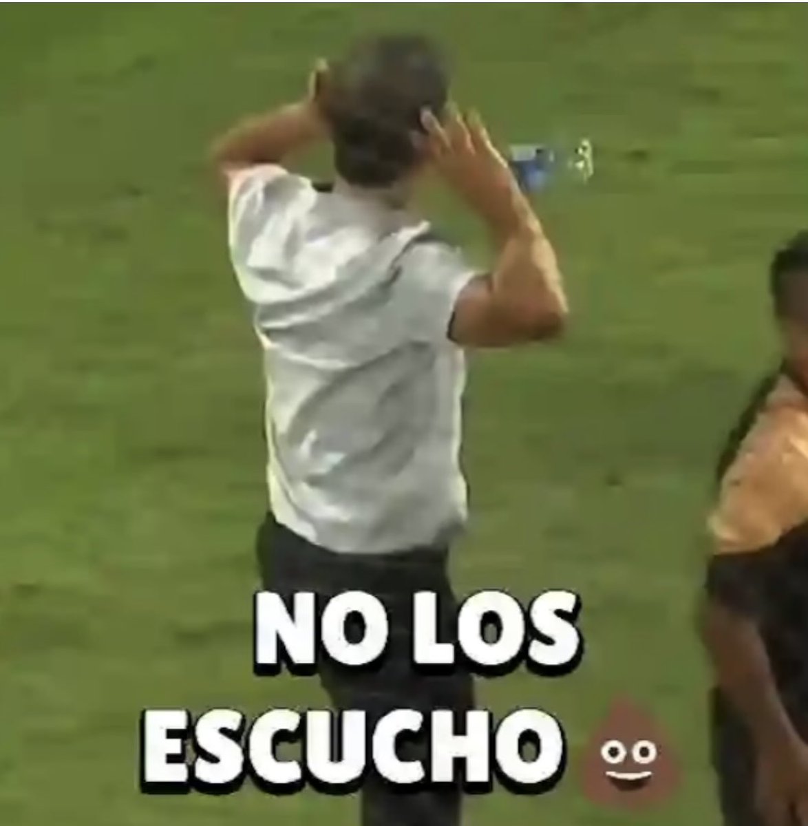 Frɑnko Ztein® tweet media