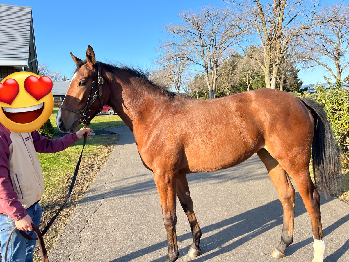 華澄-kasumi-🐑名古屋結び⛩️ tweet media