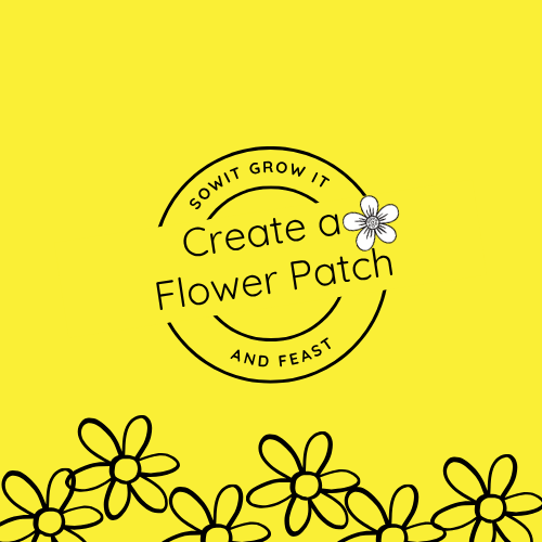 SowGrowFeast's tweet photo. There’s something quietly uplifting about a patch of flowers in bloom 🌼

Create your own flower patch and watch it flourish:
👉 https://t.co/KkVsmRZ67Q
#GrowYourOwn #FlowerPatch #GardenLife #PlantJoy #NatureLovers #PollinatorFriendly #SimpleLiving #BloomWhereYouAre https://t.co/Cldw4NvirW