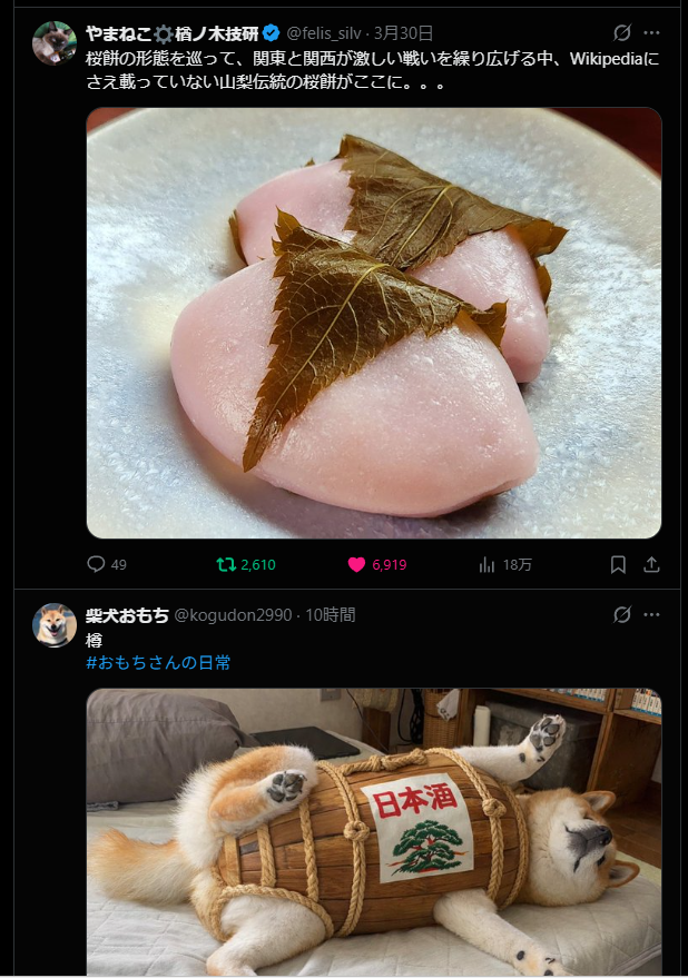 柴犬おもち (@kogudon2990) / Posts / X 柴犬おもち (@kogudon2990) / Posts / X
