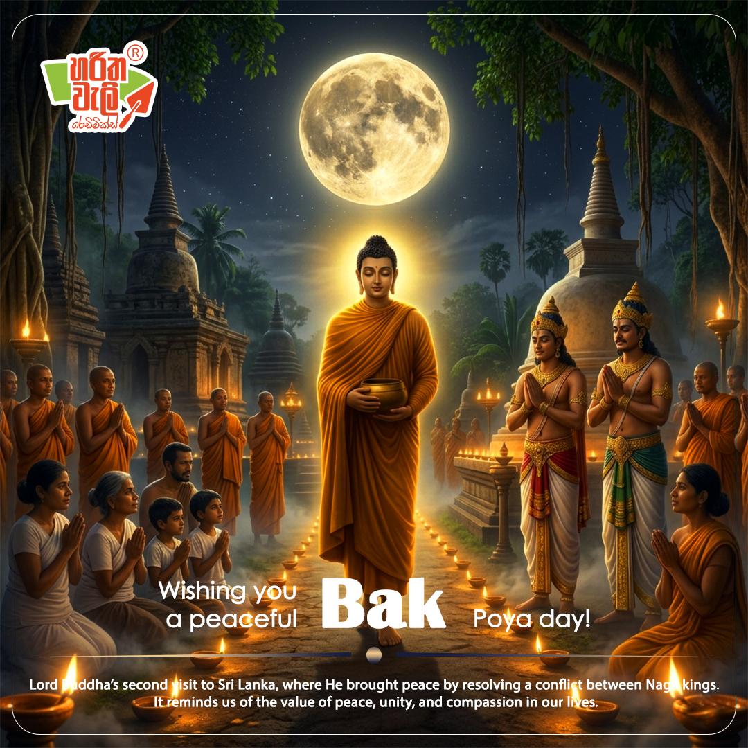 harithaweli's tweet photo. Wishing you a peaceful Bak poya day!

#harithaweli https://t.co/RJmZP0c7Q8
