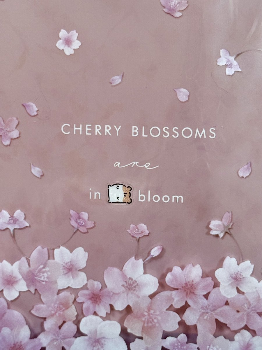 めたびに🐹ma._.i tweet media