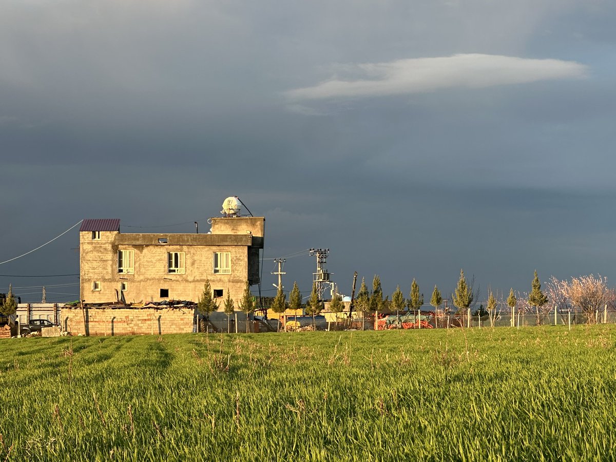 Noêsis noêseôs tweet media