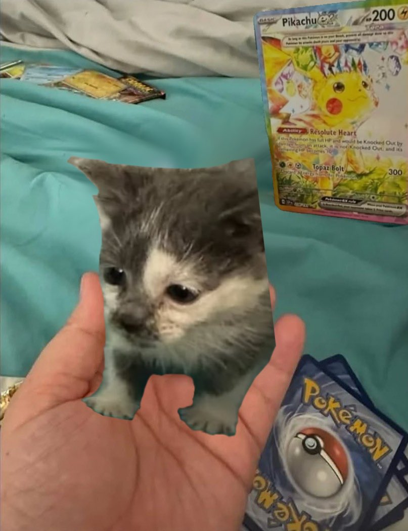 IsrayOnix tweet media