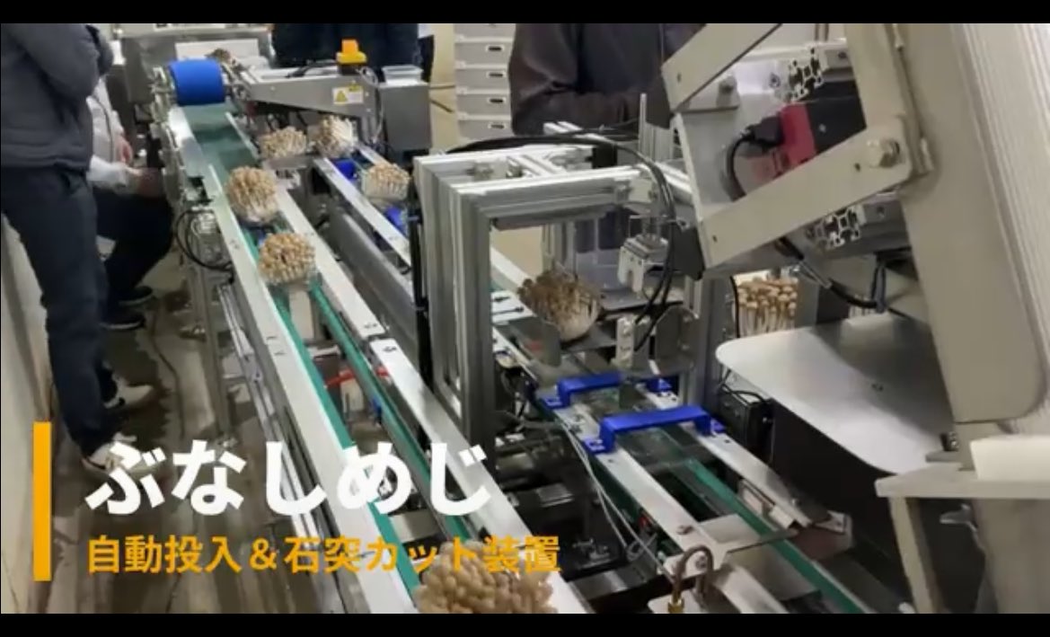 かわのじょーじ/松永製作所in福岡 tweet media