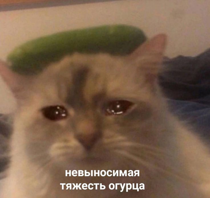 Отбитый Электрик tweet media