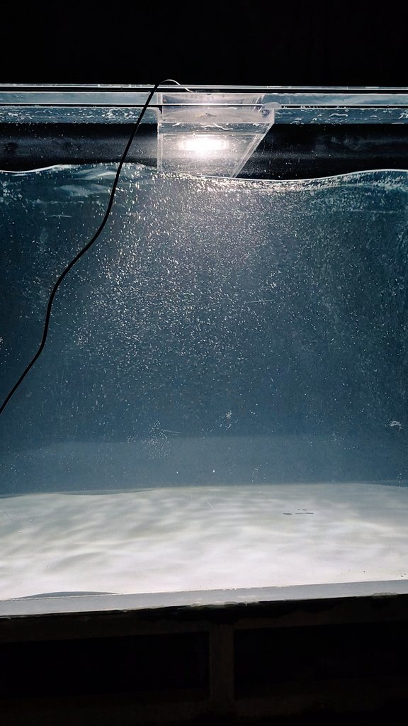 studioripple tweet media