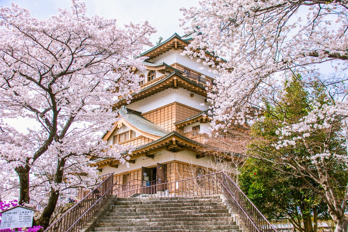 茗荷屋タカシ tweet media