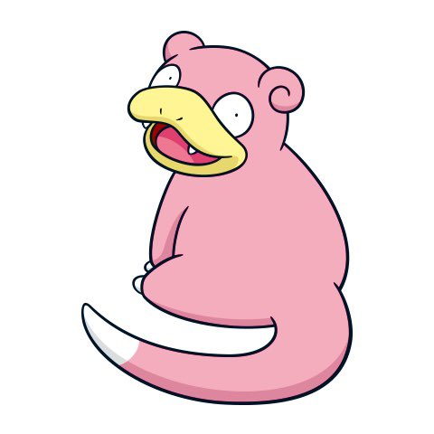 レイラ🌙 tweet media