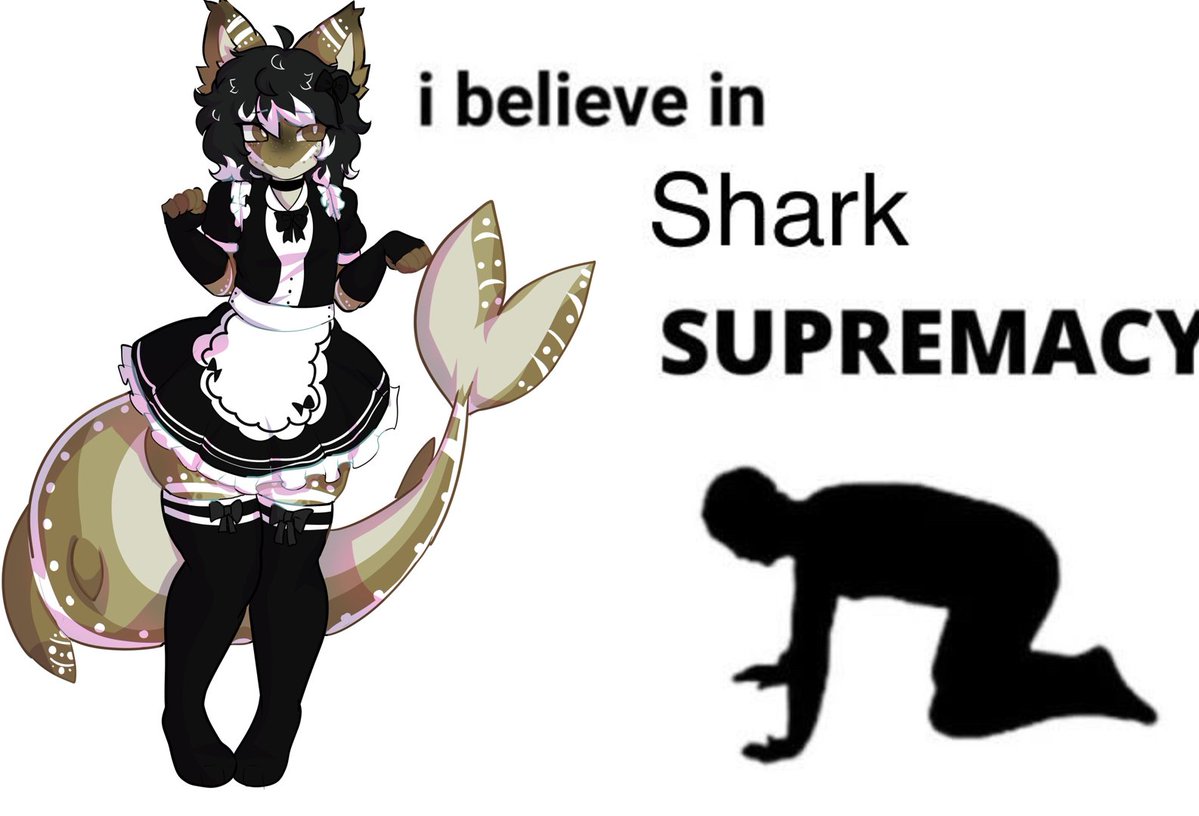 Maverick🦈 tweet media