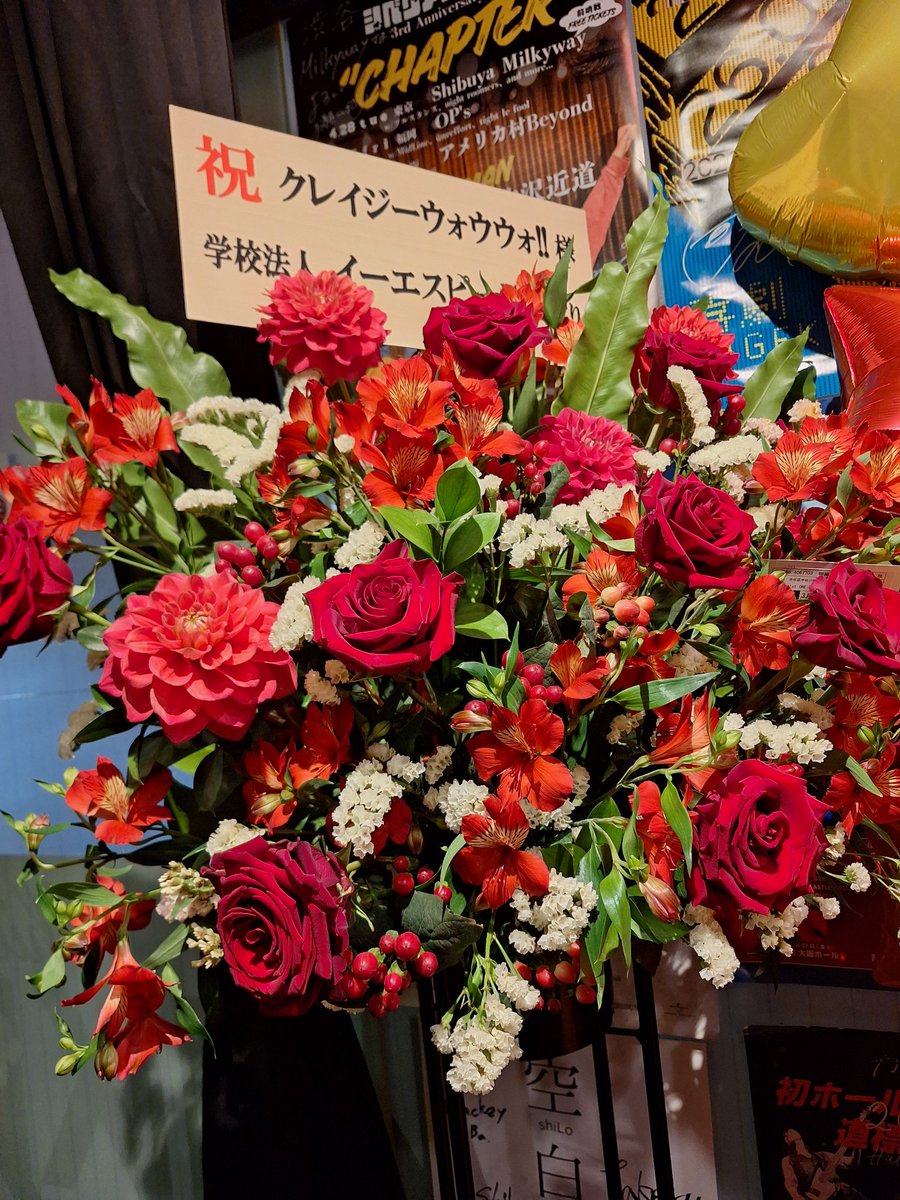 ANTIMOSH10's tweet photo. 先日、卒業生のライブに行ってきました〜😉
フロアの熱気やばかったな！！
そして、企画終わったばかりだけど、私もすごいライブしたくなった笑
暑かったから終演後にレアメンツで乾杯🍻
そして昨日は静かに独りお花見🌸😌 https://t.co/Wc6QVNEQSR