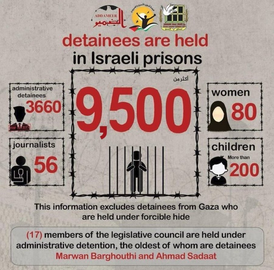 Mannie Quinn & The Dolly Liberation Army tweet media