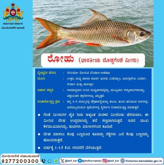 Dept of Fisheries, Karnataka tweet media