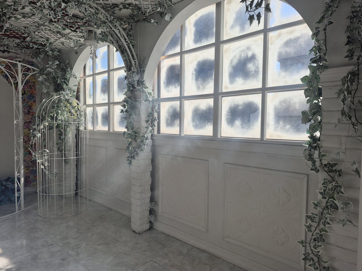 aiLiberte Studio tweet media