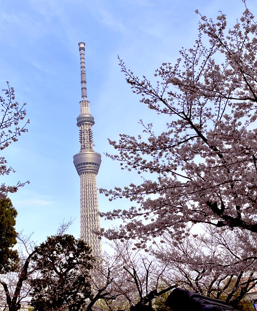 うまさんぽ展🐴 tweet media