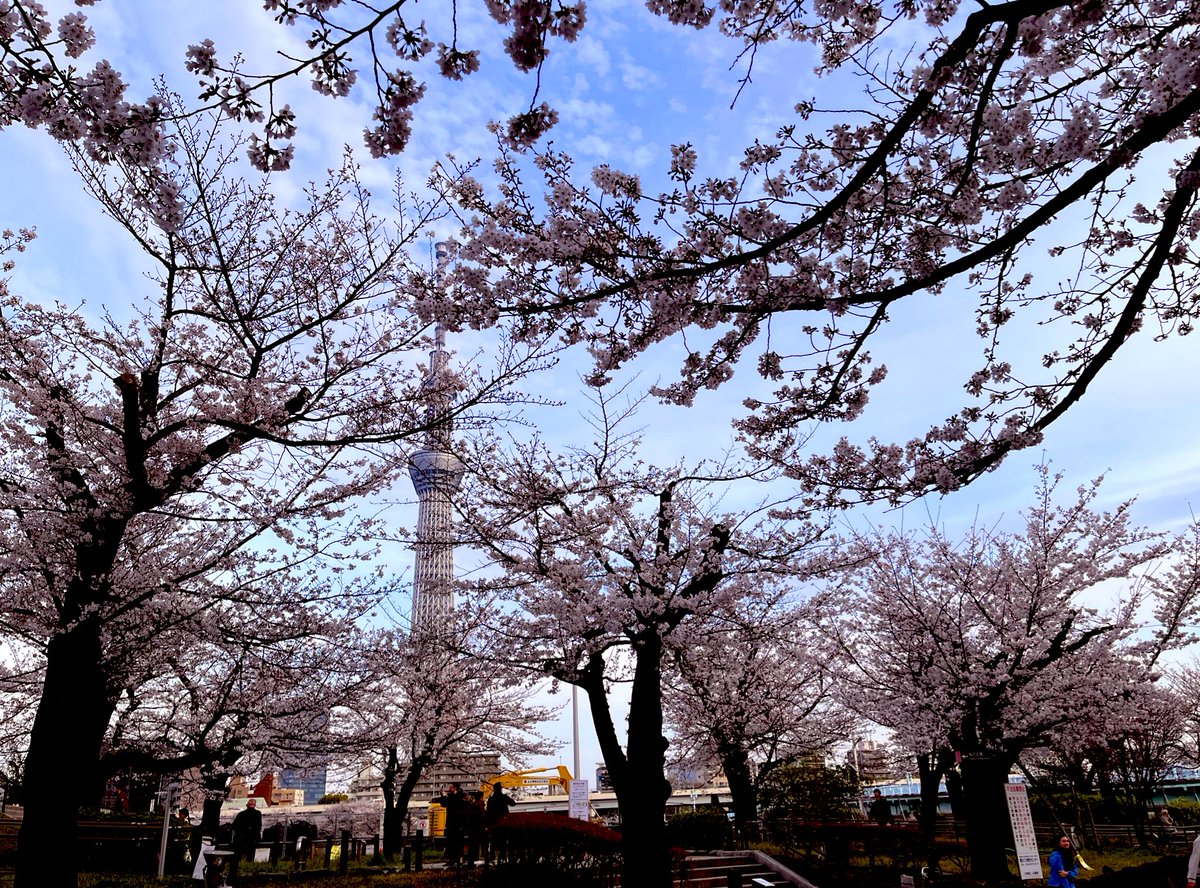 うまさんぽ展🐴 tweet media