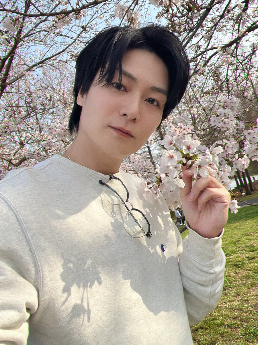 八神蓮Official tweet media