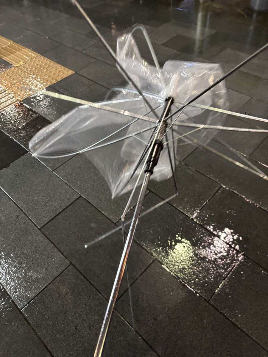 はーちゃん🧸𖤐⡱ tweet media