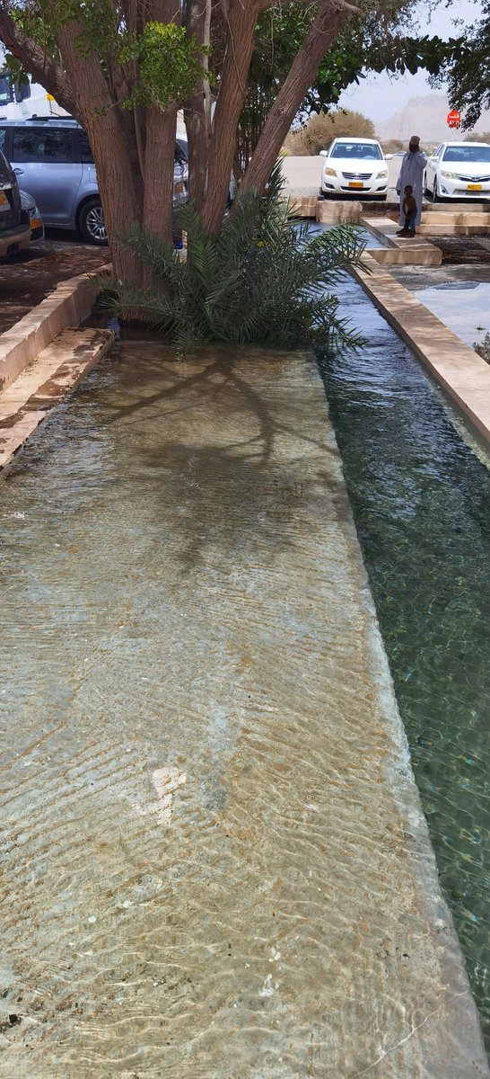 🄴🅈🄰🄰🄳 tweet media