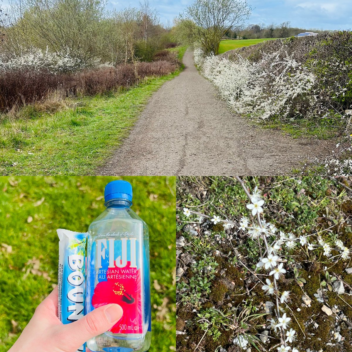 S_Huntley10's tweet photo. Morning walk 🥾🪻#fiji  #water #bounty #walk #steps #15k #forrest #park #scenery #clear #mind https://t.co/UUVtFo2wRa
