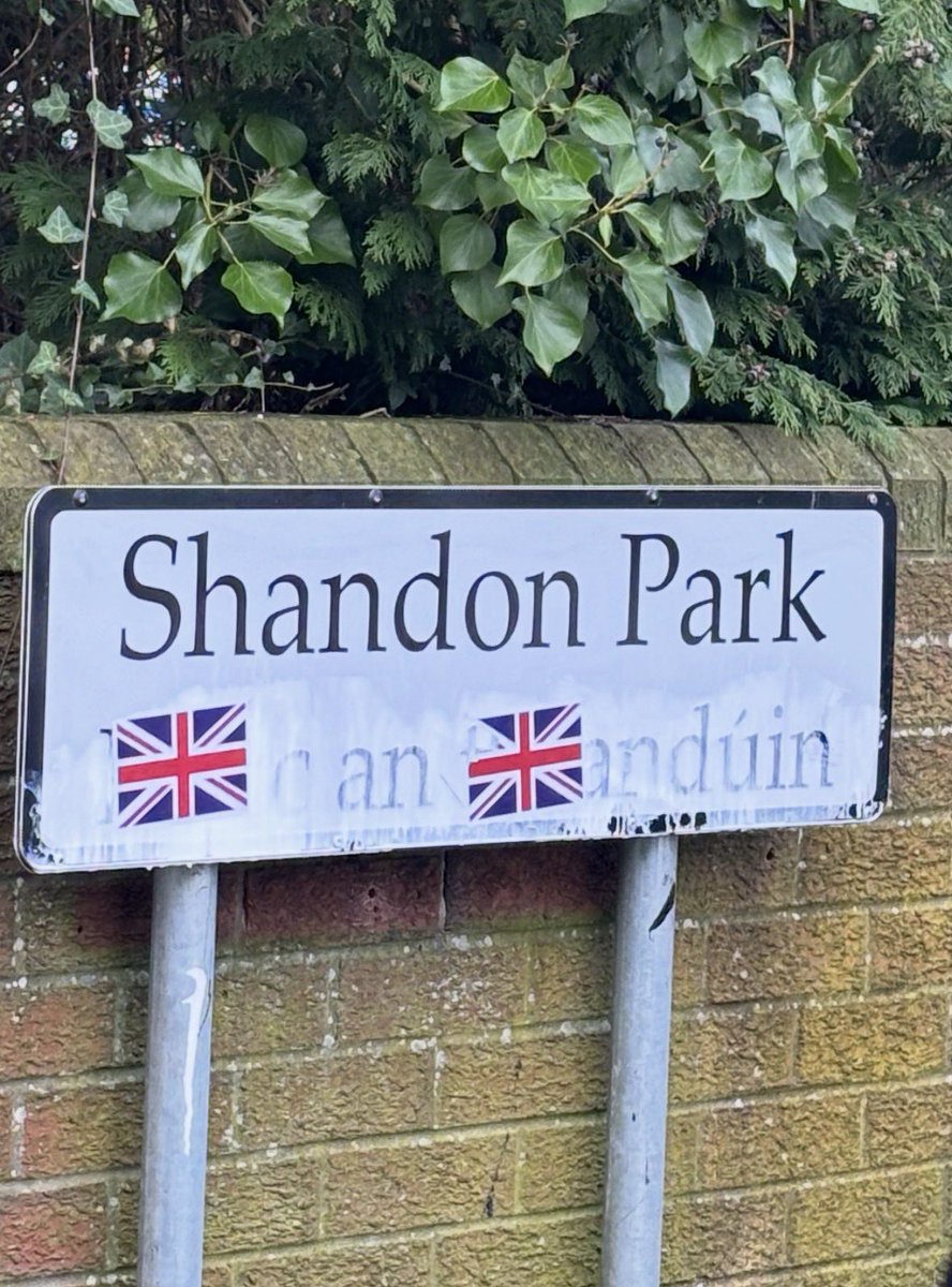 Seán Napier tweet media