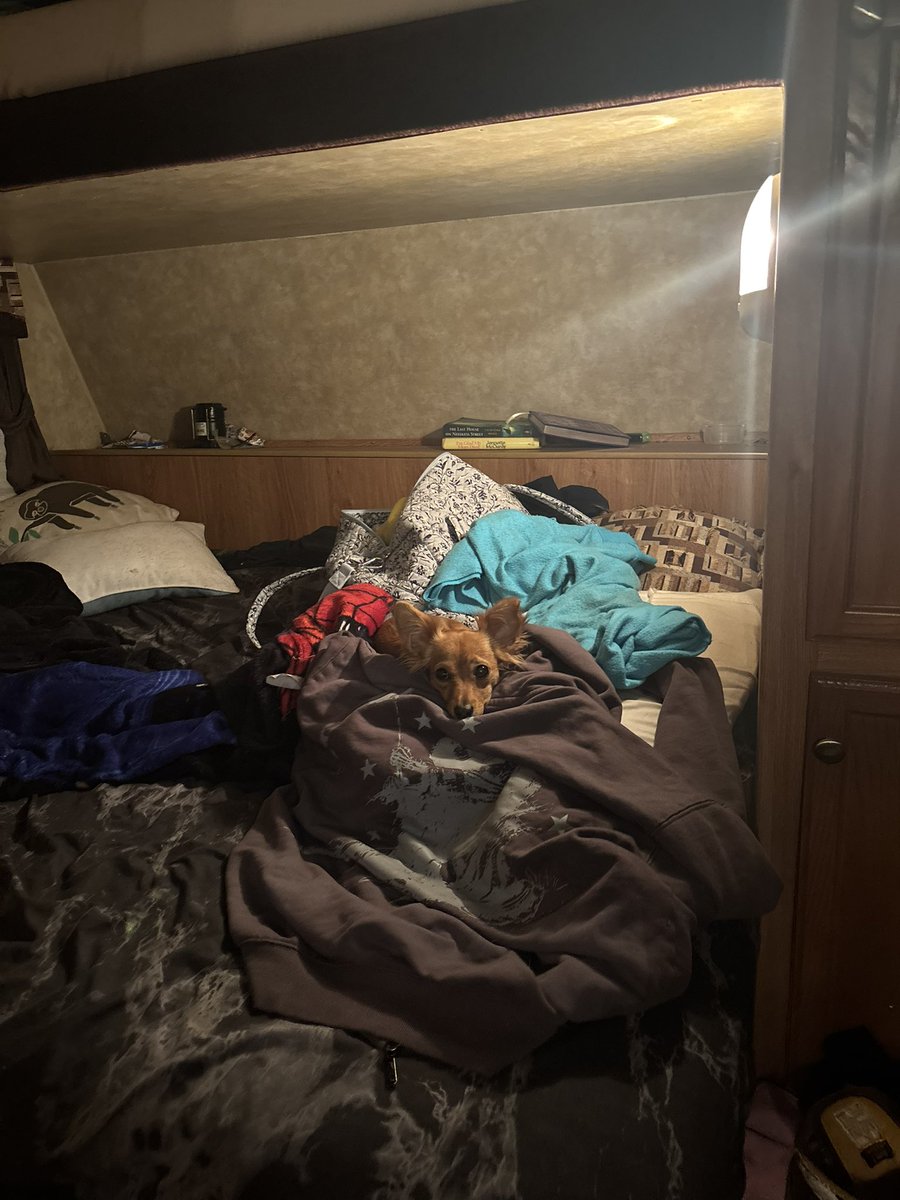 debs 💋 tweet media