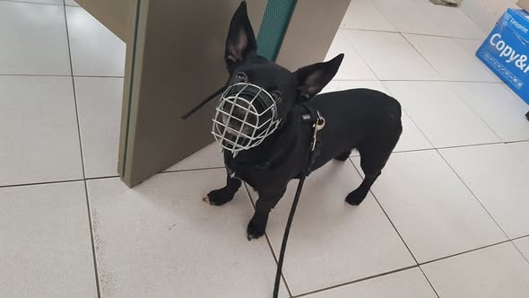 yolanda schultes tweet media