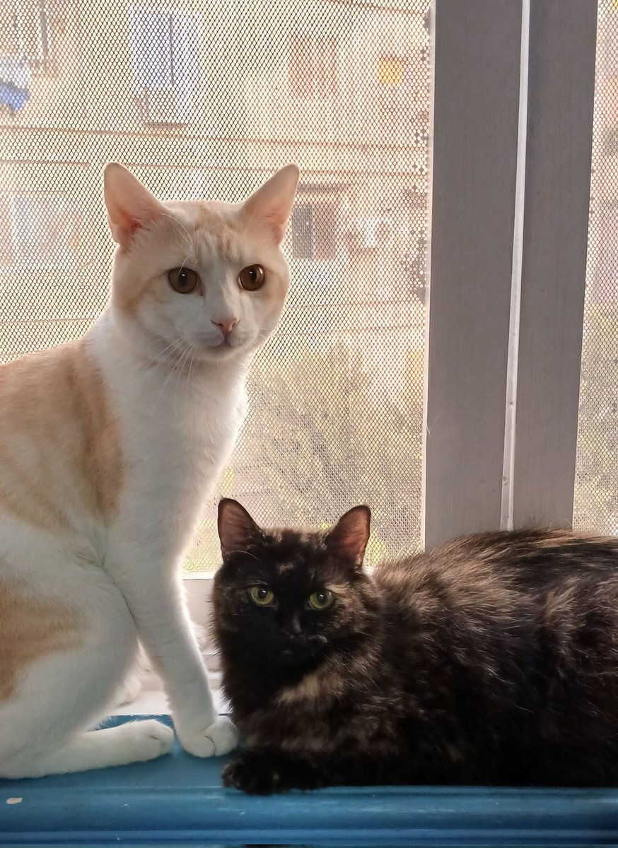 خَديج☆ tweet media