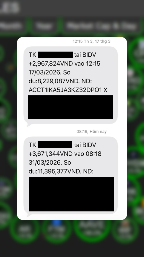 Solo Top tweet media