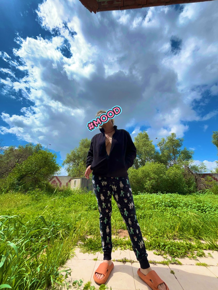 🎗️x tweet media