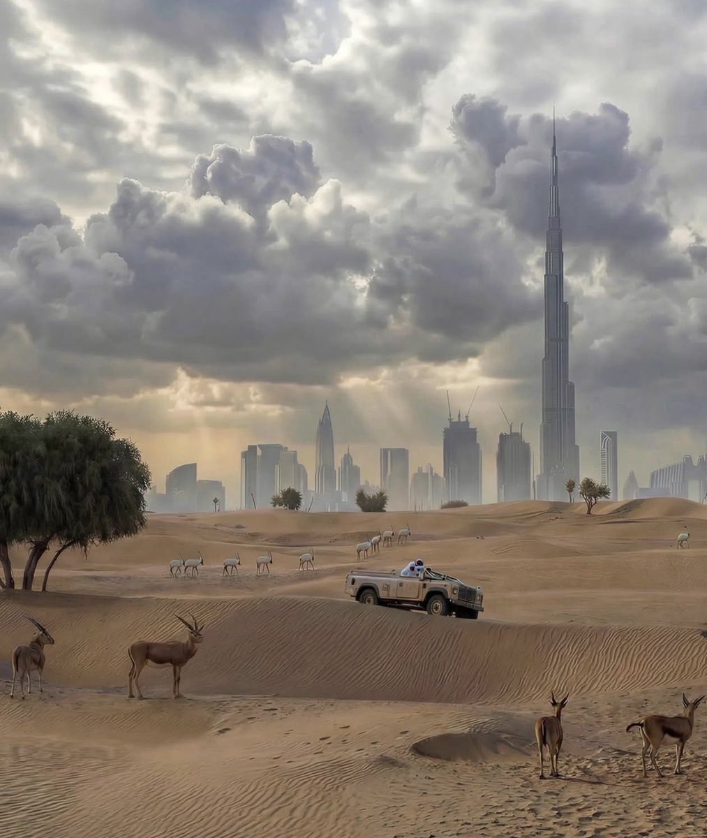 برزة الإمارات 🇦🇪 tweet media