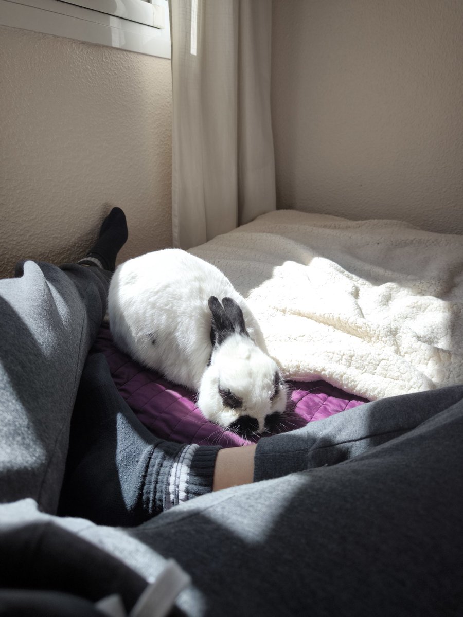 Evawanderlust tweet media