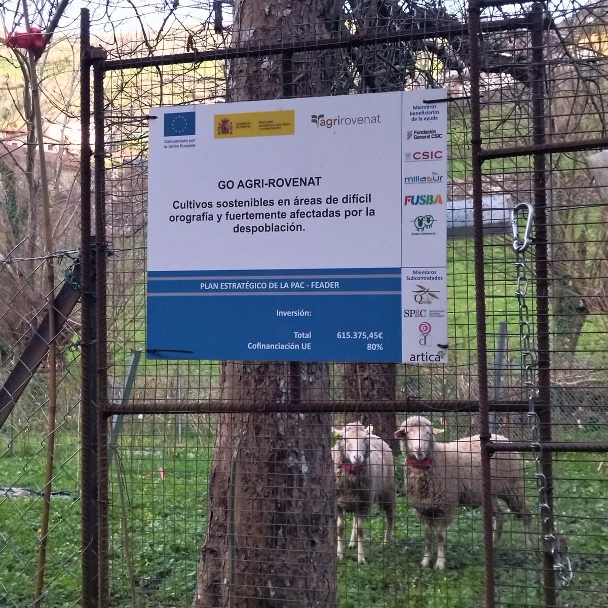 AGRIROVENAT tweet media