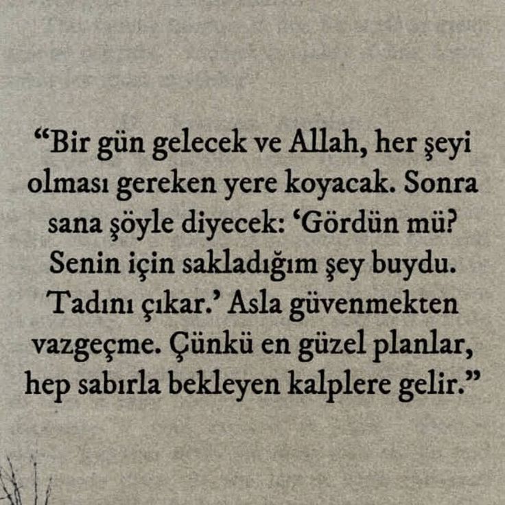 77. Sayfa tweet media