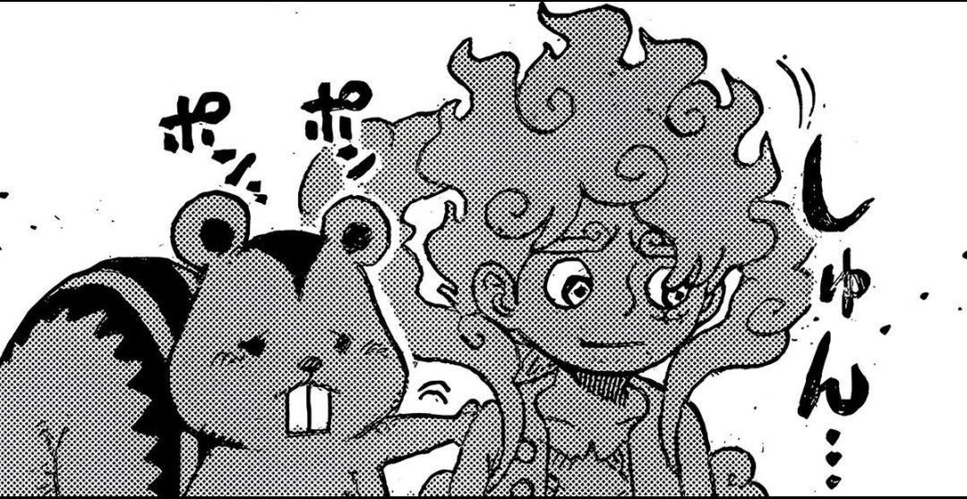 Nova 💫 tweet media