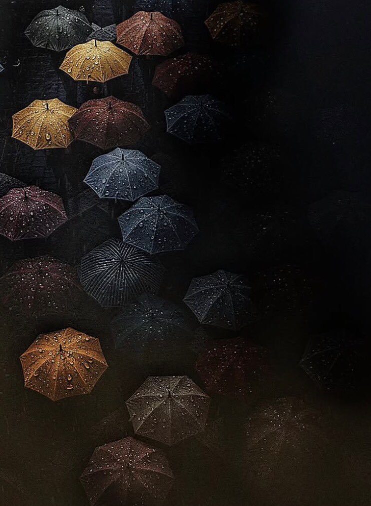 Alessandra tweet media