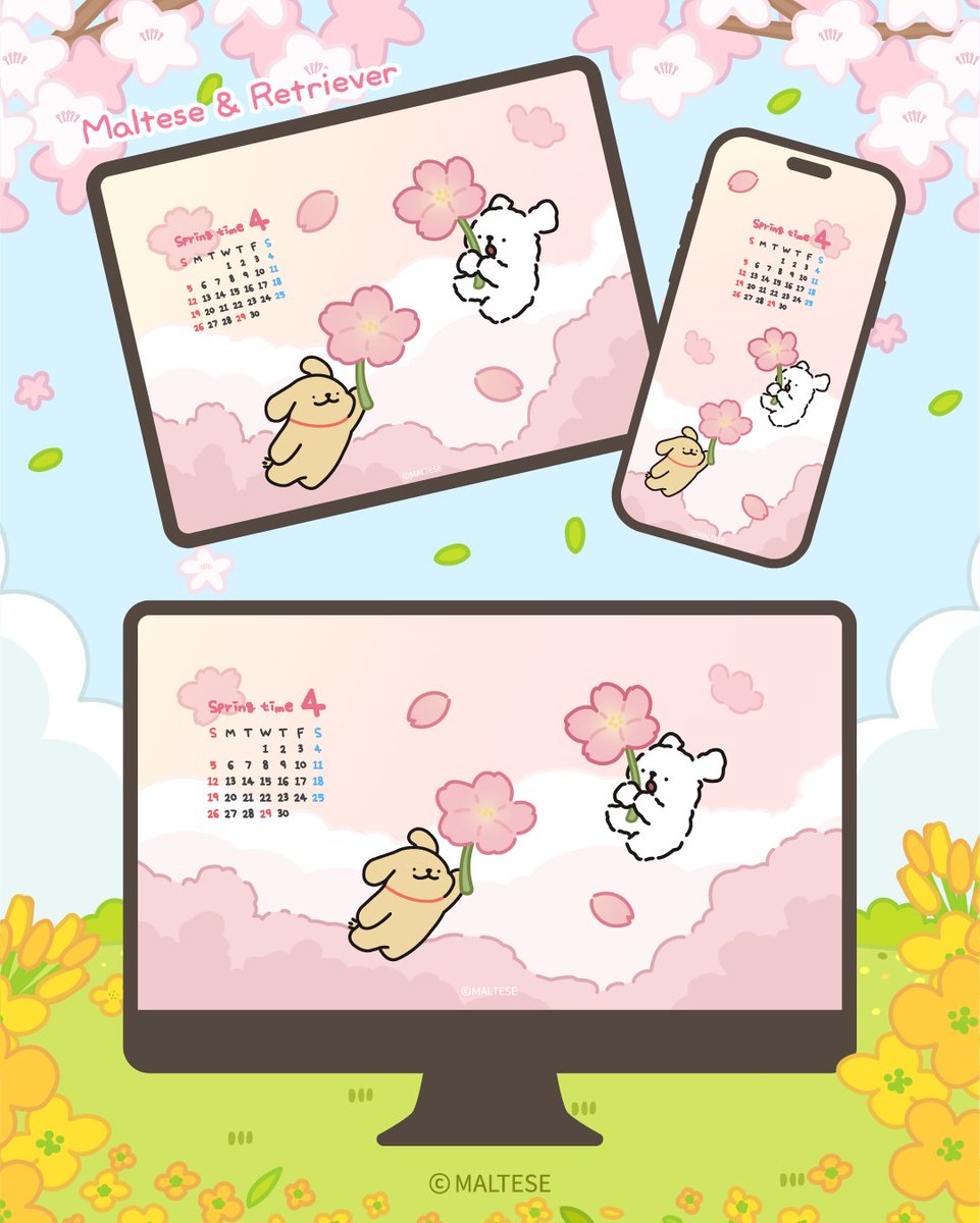 モルチーズ【公式】 (@maltese_jp) / Posts / X
