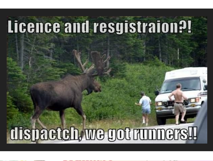 Eva Close tweet media