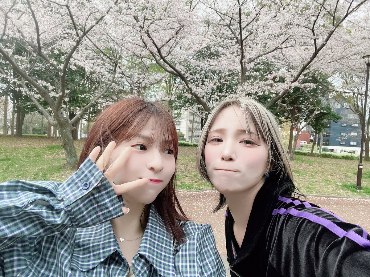 ✎仮名ちゃん tweet media