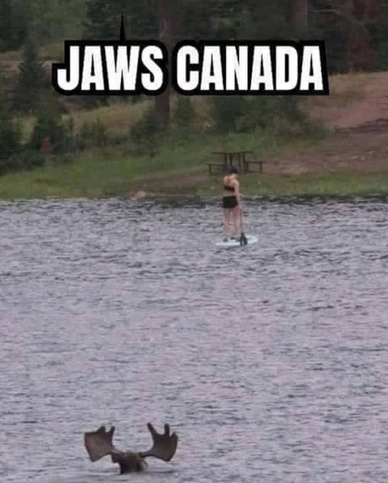 Eva Close tweet media