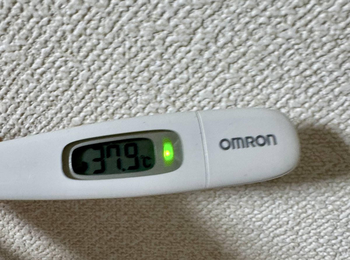 おみ（o•m•i)🟣 tweet media