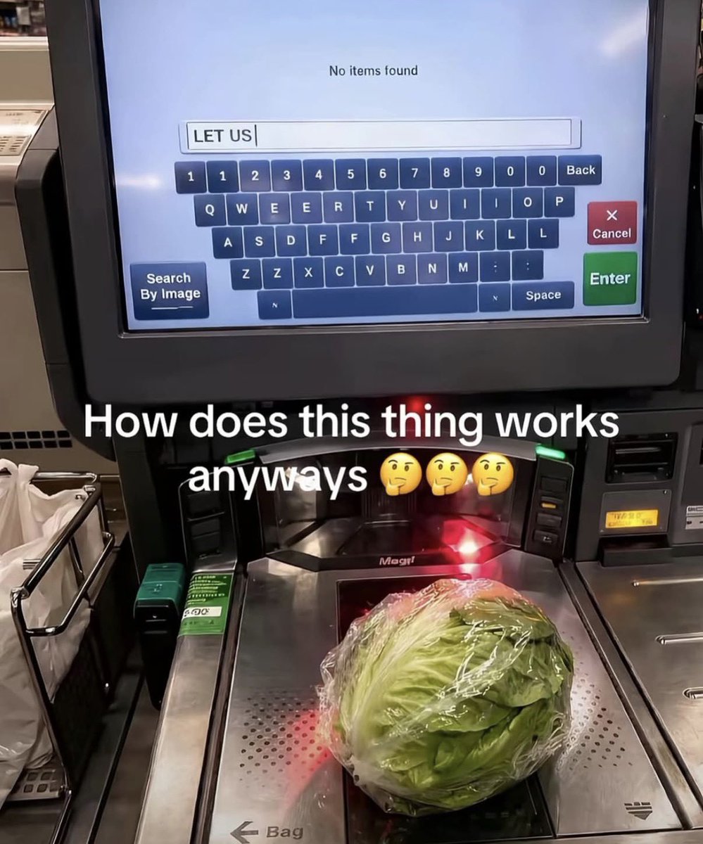 Braindead Bird App tweet media