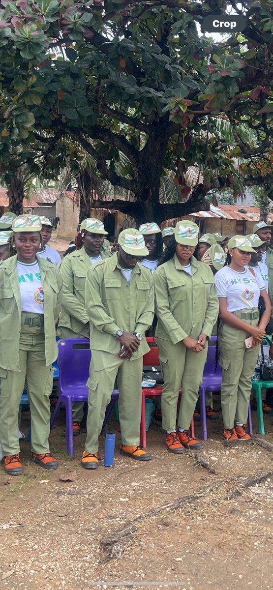 FeRaN💛 tweet media