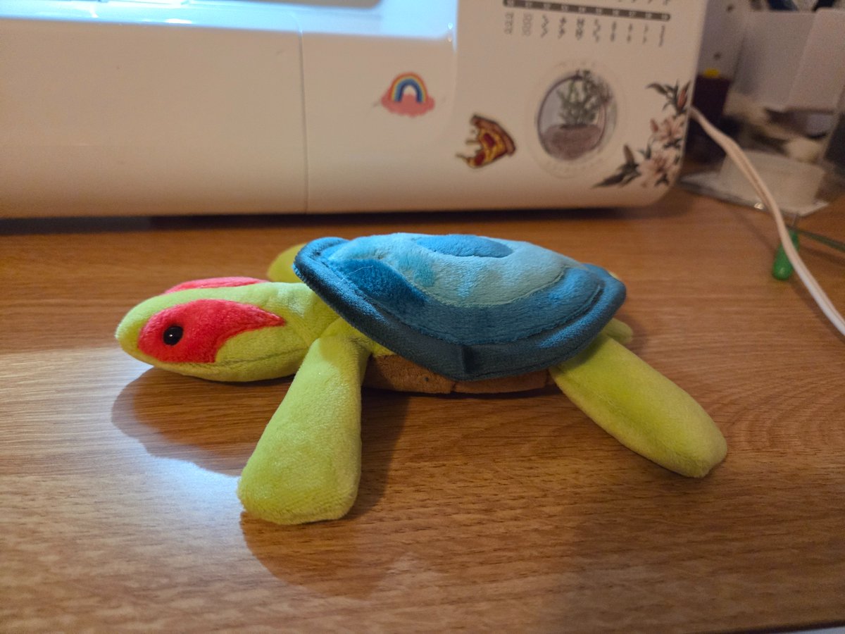 ★ pi 🍉 tweet media